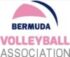 Bermuda Volleyball Association Logo